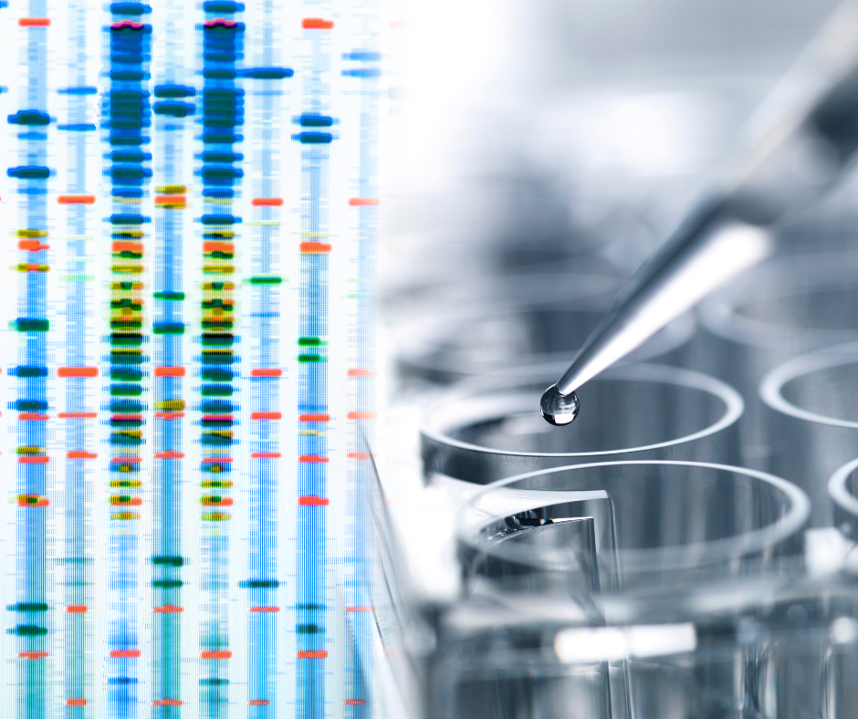 Biomedical assay results next to pipette dripping liquid into wells.