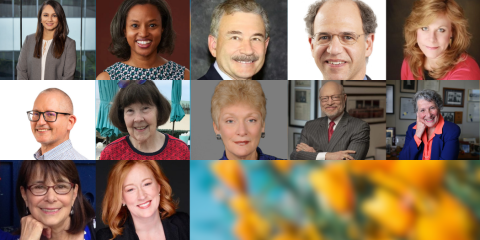 Collage of 12 National Advisory Council Members