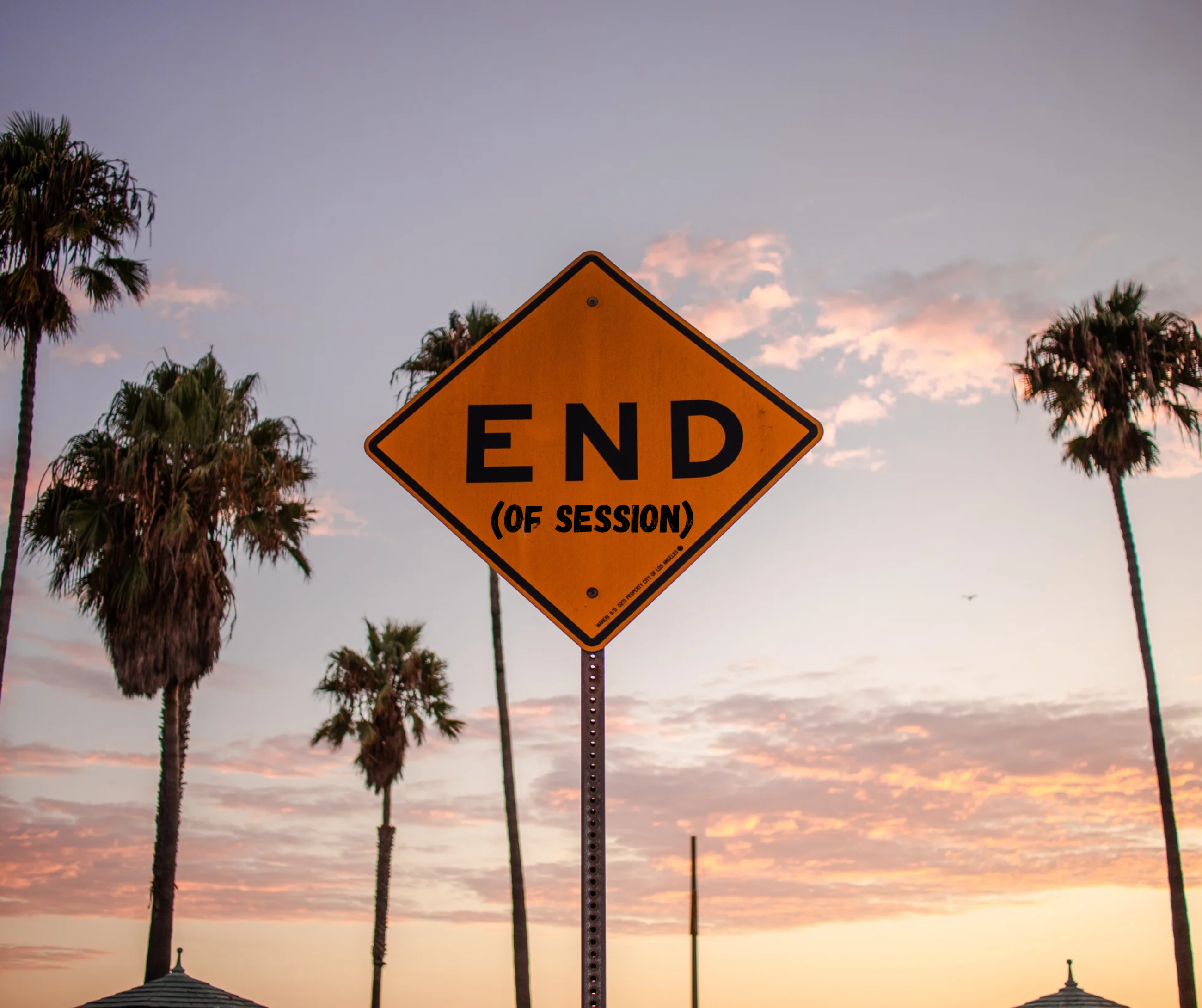 A backdrop of palm trees silhouetted by a sunset. A sign that reads "End (of session)" is in the foreground
