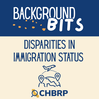 A blue banner with the words "background bits." a cream colored main page with "disparities in immigration status" with a graphic of a plane flying from one point to another.